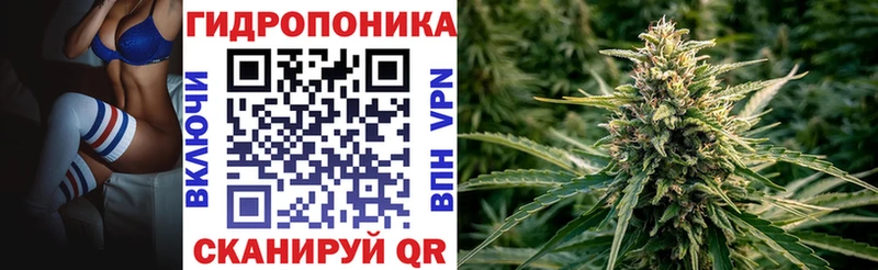 Где найти наркотики Каргополь ГАШ  МДМА  А ПВП  Галлюциногенные грибы  COCAIN  Меф  Бошки Шишки 