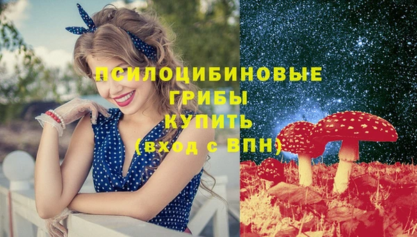 МДПВ Алексеевка