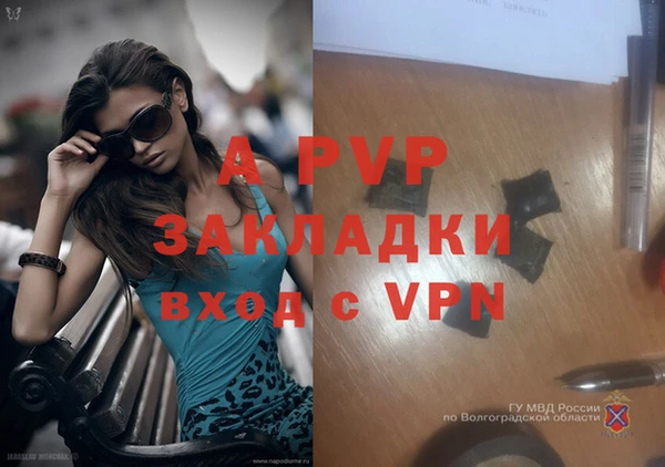 винт Алзамай