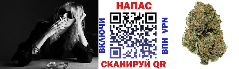 Шишки марихуана сатива  Каргополь 
